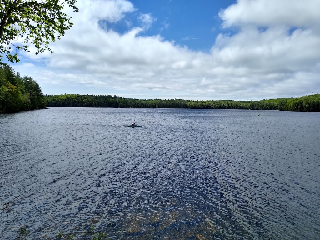 Silent Lake Provincial Park | 1589 Silent Lake Park Road, Bancroft, ON K0L 1C0, Canada | Phone: (613) 339-2807