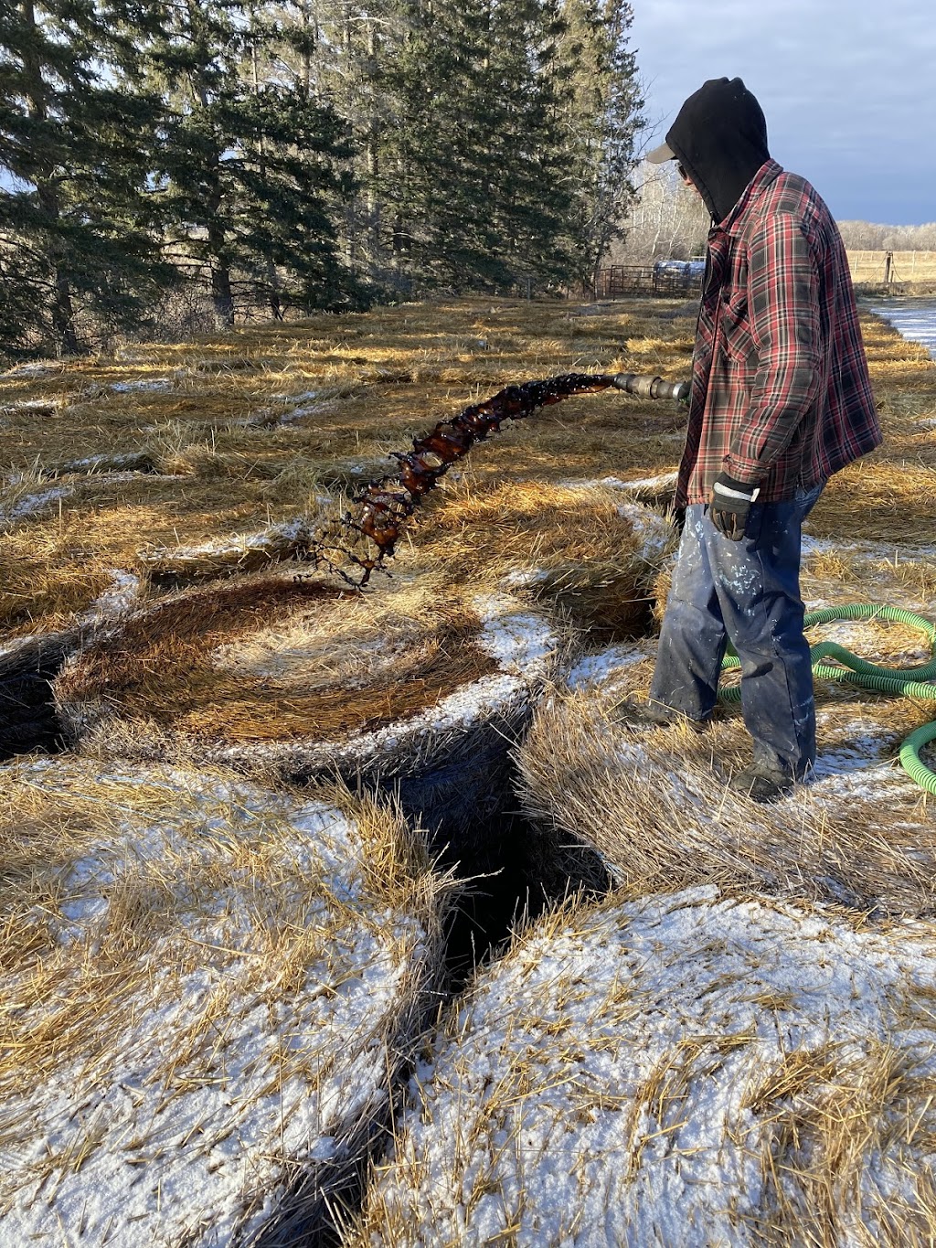 A1 Liquid Feeds | 42112 Mile 85 Rd N, Brokenhead, MB R0E 0C0, Canada | Phone: (204) 792-0035