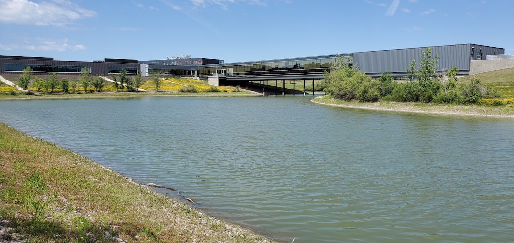 RTDS Technologies Inc. | 150 Innovation Dr, Winnipeg, MB R3T 2E1, Canada | Phone: (204) 989-9700