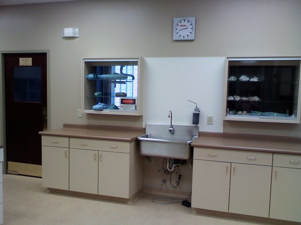 Elmwood Small Animal Hospital | 1606 Kenmore Ave, Buffalo, NY 14216, USA | Phone: (716) 876-6023