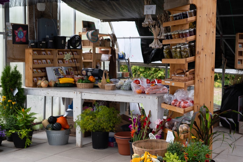 Seeds of Creation | 8744 ON-60, Eganville, ON K0J 1T0, Canada | Phone: (613) 628-5313
