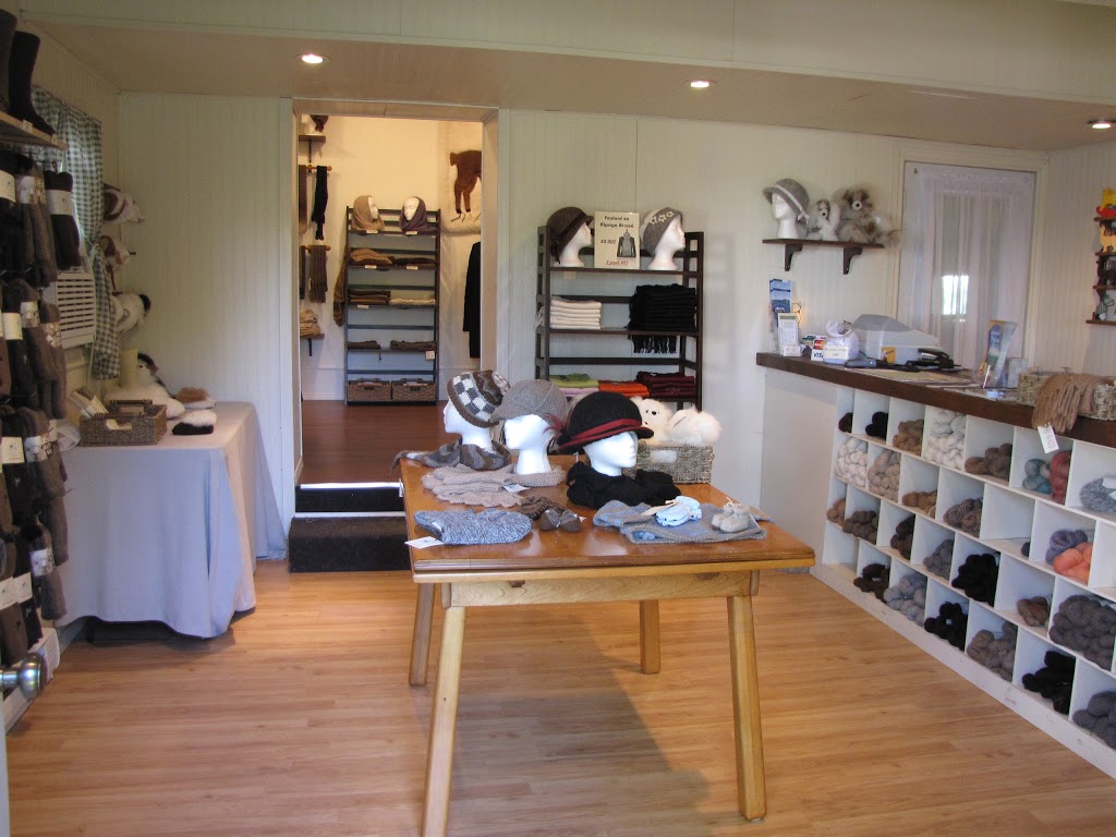 Alpagas des Hauts Vents | 856 Chemin Cowan, Havelock, QC J0S 2C0, Canada | Phone: (450) 826-1233