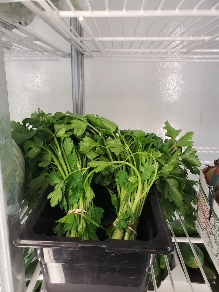 Knapps Nursery and Farms Ltd. | 8066 Wellington Rd 124, Guelph, ON N1H 6H7, Canada | Phone: (519) 824-2800