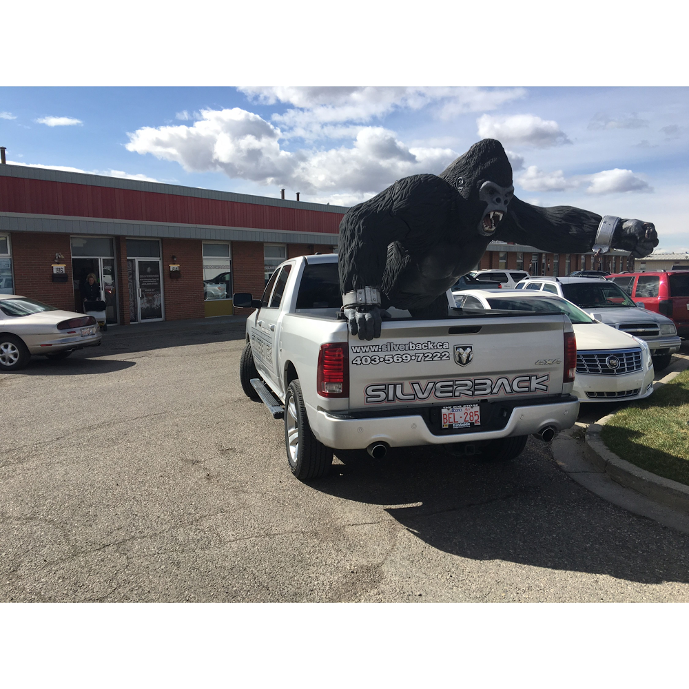 SILVERBACK | 1514 Meridian Rd NE, Calgary, AB T2A 2N9, Canada | Phone: (403) 569-7222