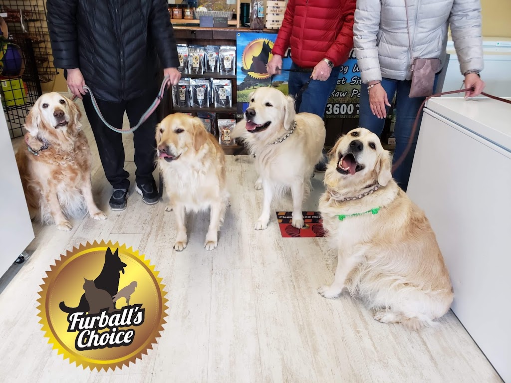 Furballs Choice | 300 Bell Blvd, Belleville, ON K8P 5H7, Canada | Phone: (613) 743-3600
