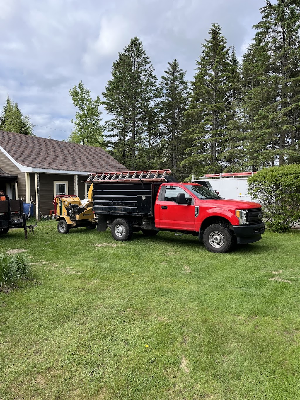 Arboriculture Pagé | 145 Rue Lesage, Saint-Raymond, QC G3L 2L8, Canada | Phone: (418) 283-2083