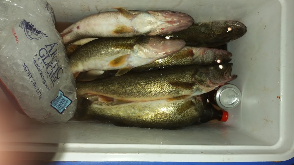 Brians Blue Water Bait &Tackle | 8089 Dixie Hwy #1, Ira Township, MI 48023, USA | Phone: (586) 725-1448