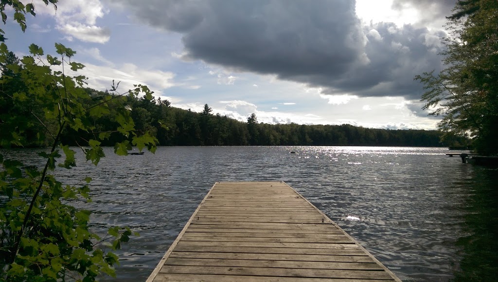 Cuddys Pine Cove | 1509 Gull Lake Ln, North Frontenac, ON K0H 1B0, Canada | Phone: (613) 336-8135