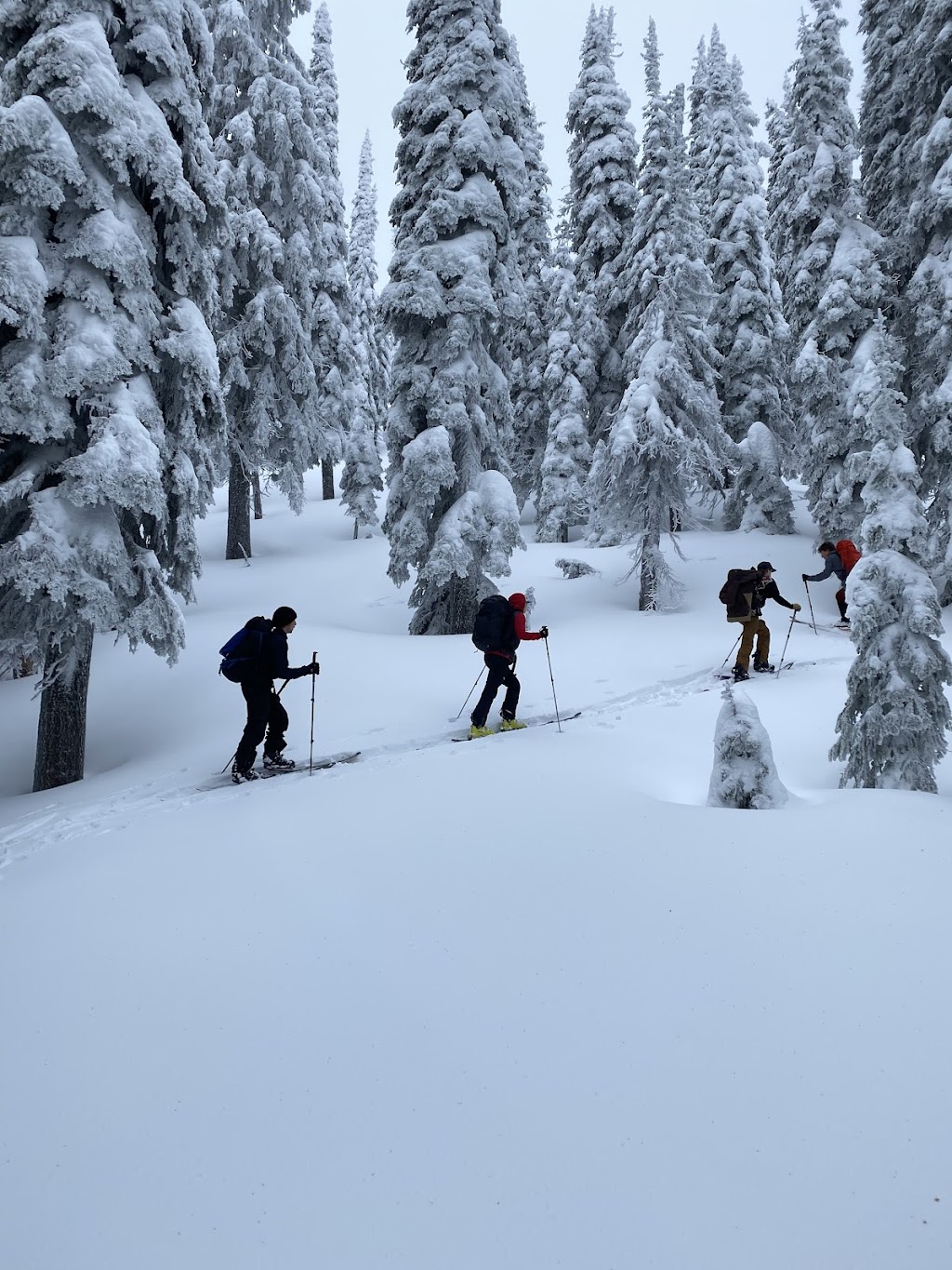 Mountain Addicts - Guiding and Instruction | 104-51 Ridgemont Dr, Fernie, BC V0B 1M2, Canada | Phone: (250) 531-0618
