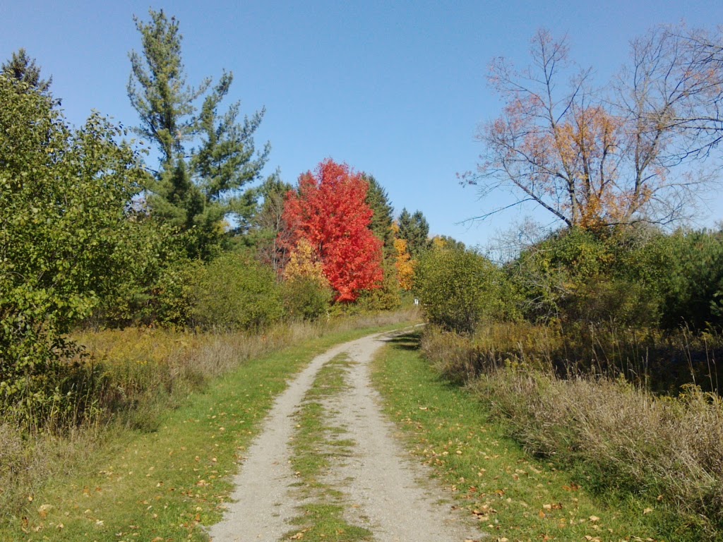 Cold Creek Conservation Area | 14125 11th Concession, Nobleton, ON L0G 1N0, Canada | Phone: (905) 833-5321