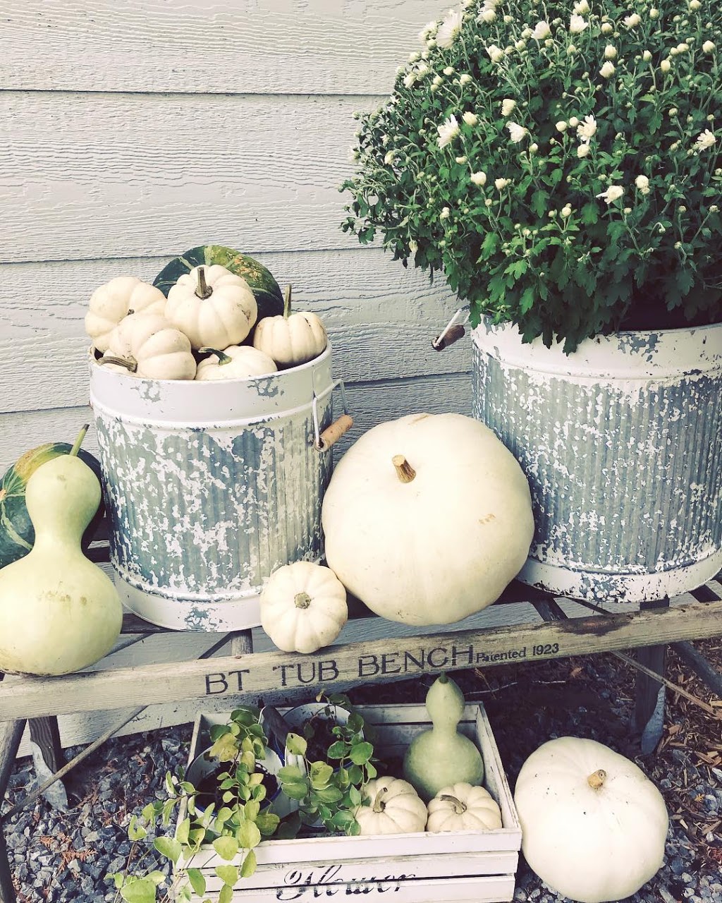 Alexandra Yoga | 3008 Boulevard du Curé-Labelle, Prévost, QC J0R 1T0, Canada | Phone: (514) 629-3243