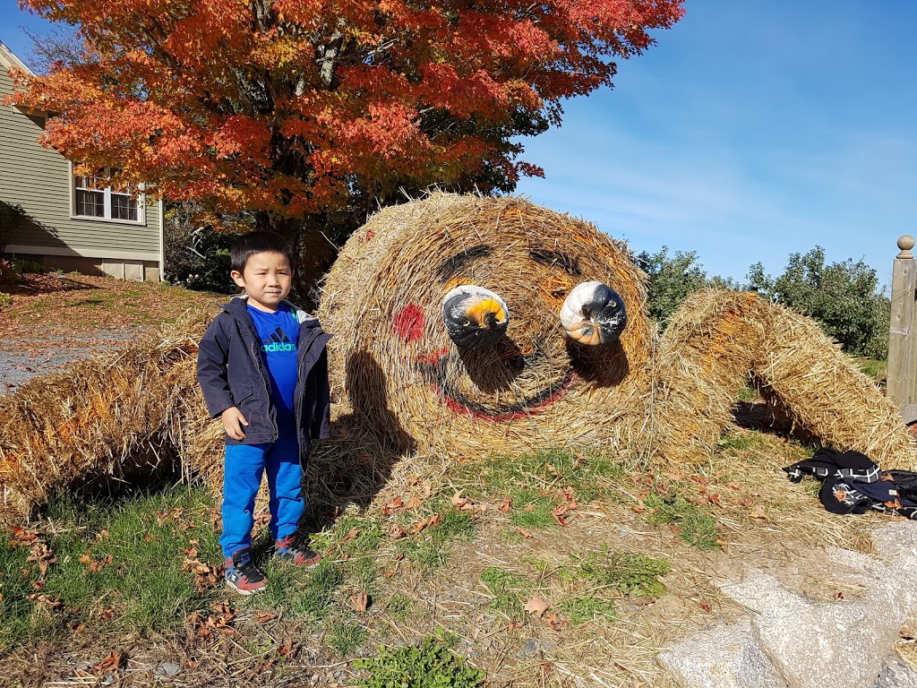 Indian Garden Farms | 15401 Nova Scotia Trunk 3, Hebbville, NS B4V 6X7, Canada | Phone: (902) 543-9899