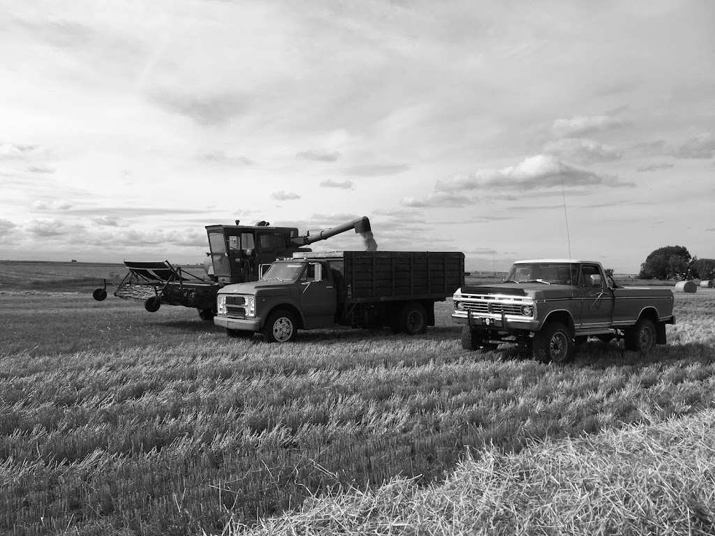 Willow acres | FC8V+99, Stirling, AB T0K 2S0, Canada | Phone: (403) 756-3514