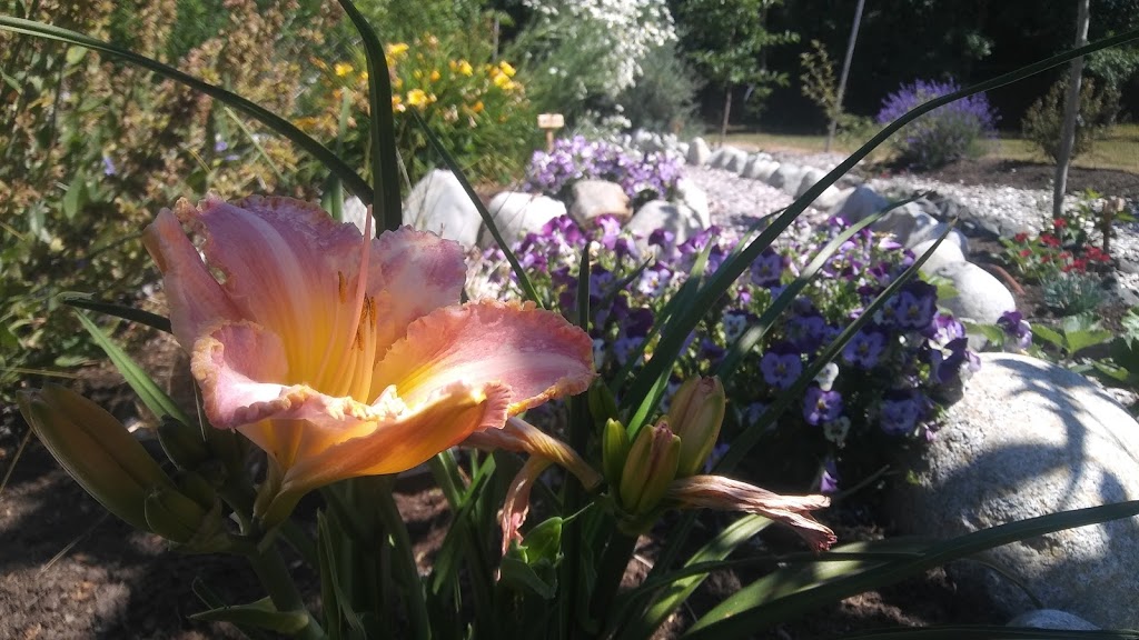 Edible Landscapes Design Ltd | 2898 Austin Ave, Victoria, BC V9A 2K7, Canada | Phone: (778) 747-3318