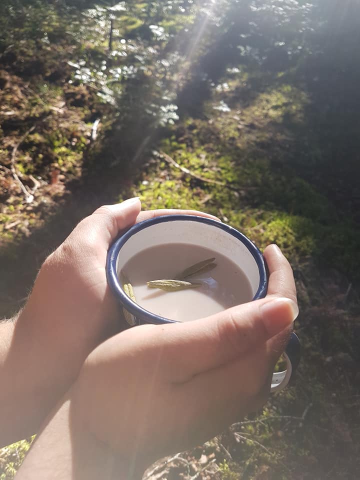 Les Fées Sorcières s.e.n.c. | 330 Chem. des Iles, LAscension, QC J0T 1W0, Canada | Phone: (873) 225-0181
