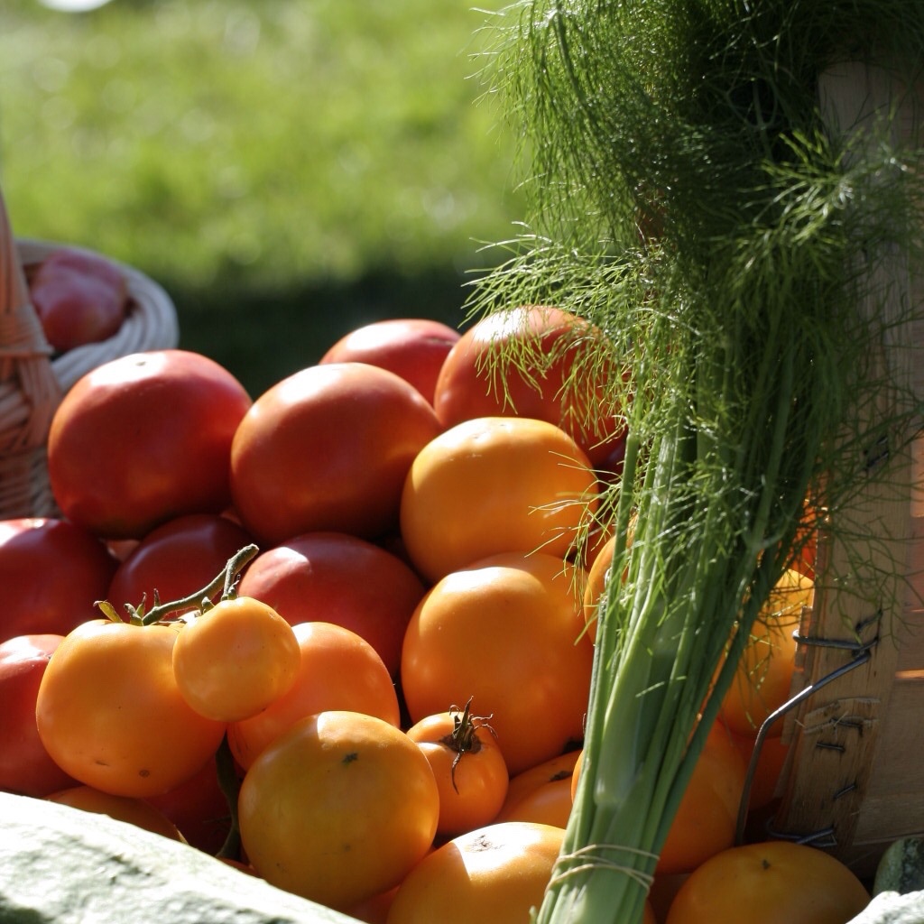 Cumberland Farmers Market | 1115 Dunning Rd, Cumberland, ON K4C 1P6, Canada | Phone: (613) 612-0708
