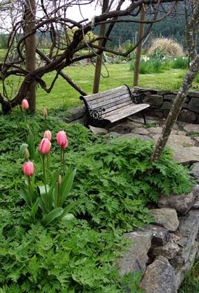 Quarrystone House Bed and Breakfast | 1340 Sunset Dr, Salt Spring Island, BC V8K 1E2, Canada | Phone: (250) 537-5980