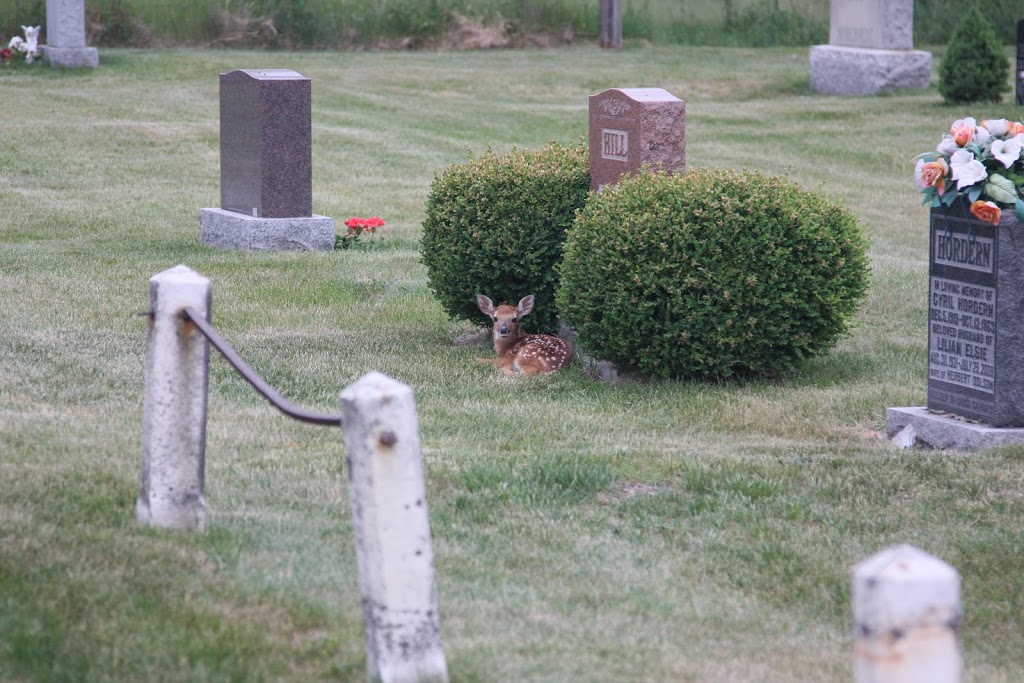 Glen Williams Cemetery | 23 Prince St, Georgetown, ON L7G 2X1, Canada
