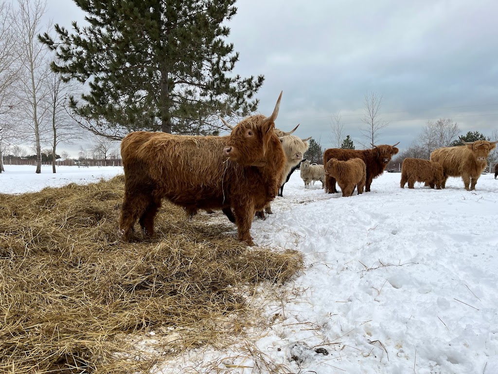 BENTHORN FARMSTEAD | 510 Municipal Rd, Sauble Beach, ON N0H 2G0, Canada | Phone: (519) 378-4486