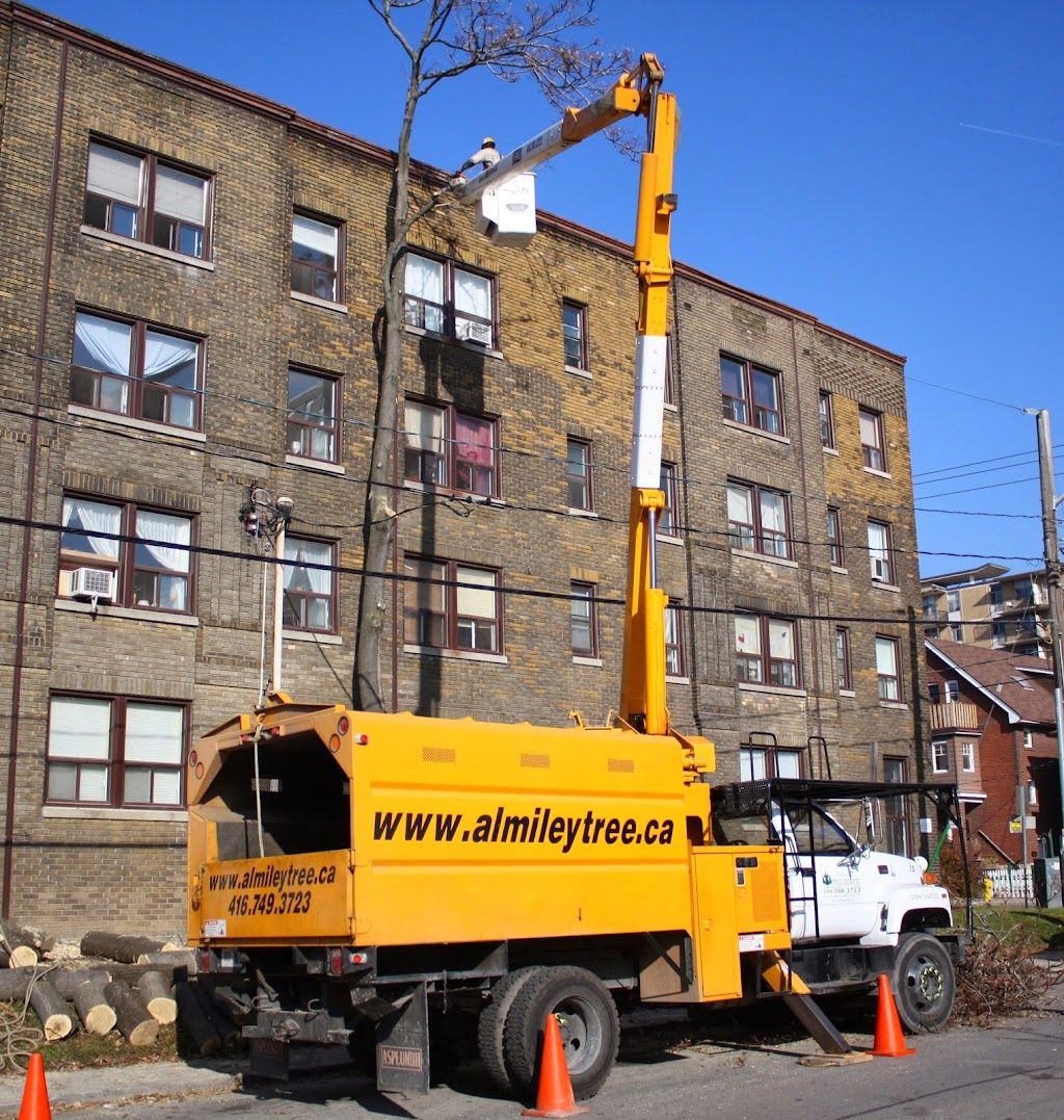 Al Miley Arborist | Tree Removal Toronto | 203 Toryork Dr, North York, ON M9L 1Y2, Canada | Phone: (416) 749-3723