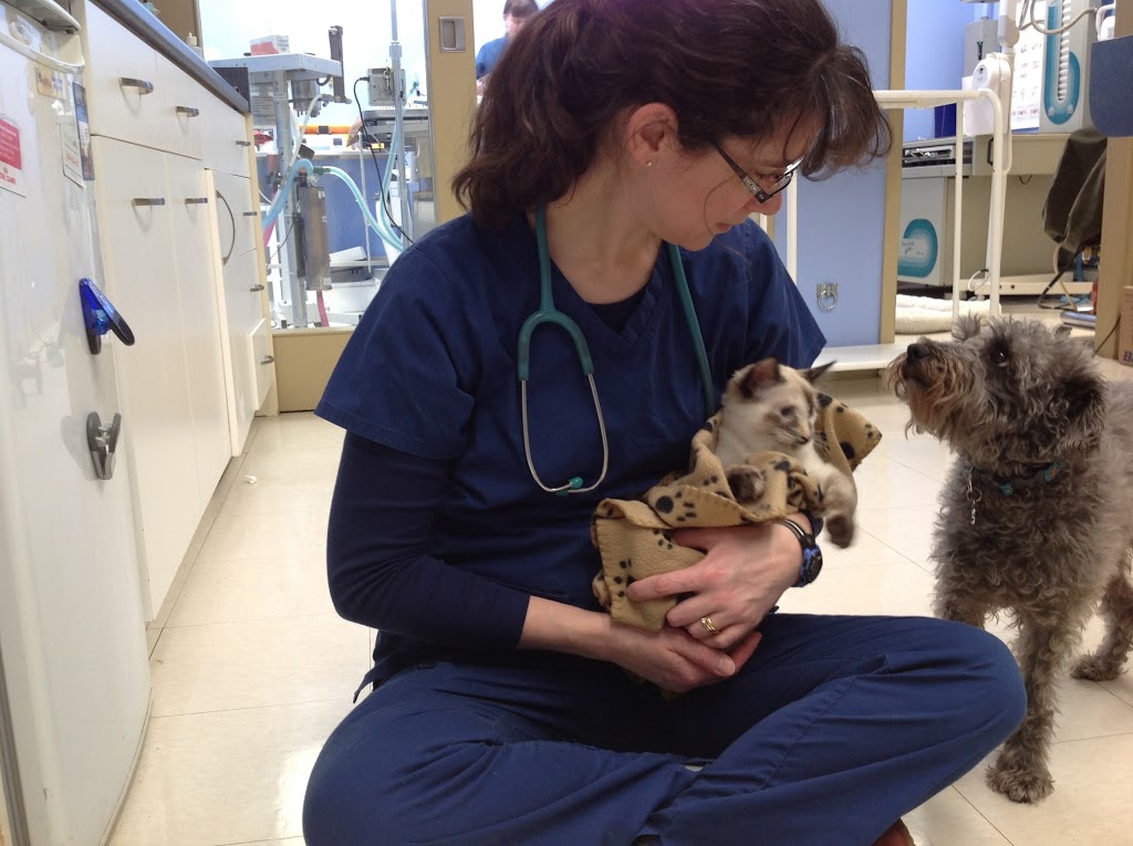 Queensway West Animal Hospital | 60 Colchester Square, Kanata, ON K2K 2Z9, Canada | Phone: (613) 271-8387