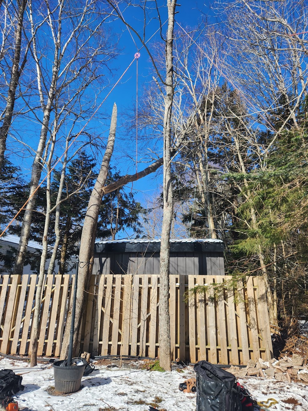 Shaded Tree Service | 10 Mountain Lee Rd, North River, NS B6L 6G8, Canada | Phone: (902) 890-2081