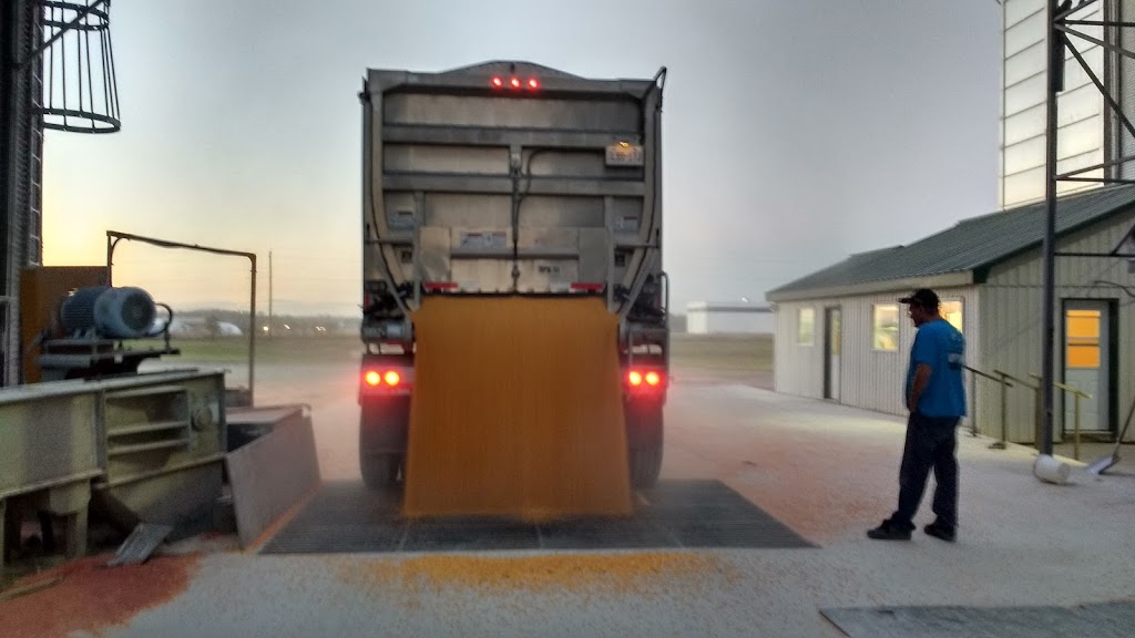 Reesor Elevators - Port Perry | 1256 Scugog Line 6, Port Perry, ON L9L 1B5, Canada | Phone: (905) 985-7007