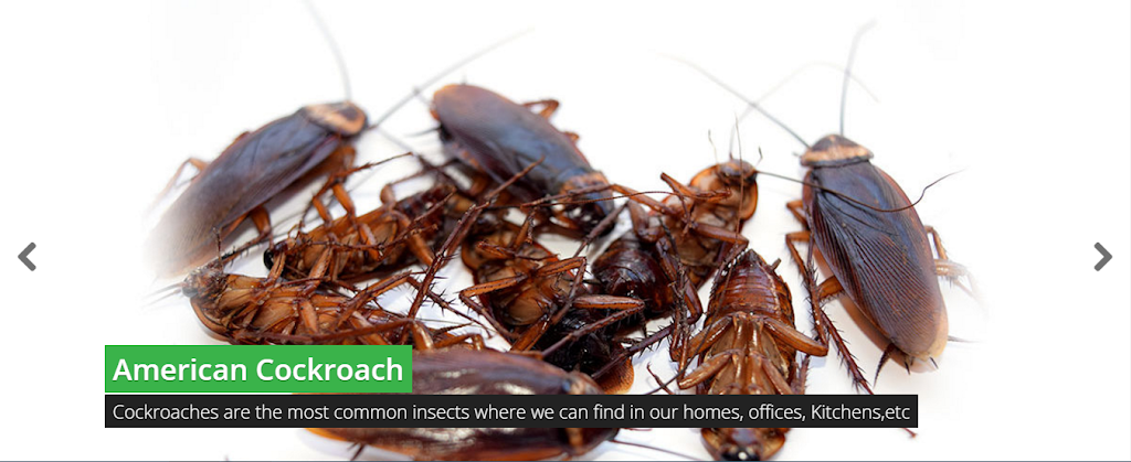 GreenPEST | 662 Hargreaves Ln, Saskatoon, SK S7R 0G6, Canada | Phone: (306) 850-1679