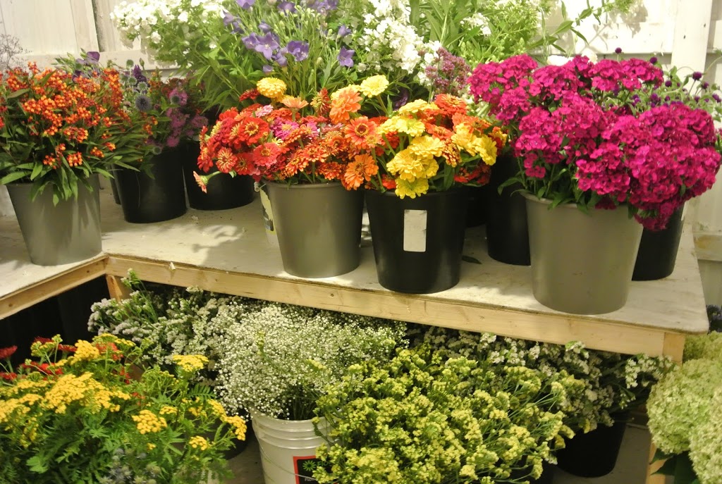 Sylvias 4th Line Florals | 2172 Upper Fourth Concession Bathurst, Perth, ON K7H 3C9, Canada | Phone: (613) 267-7365