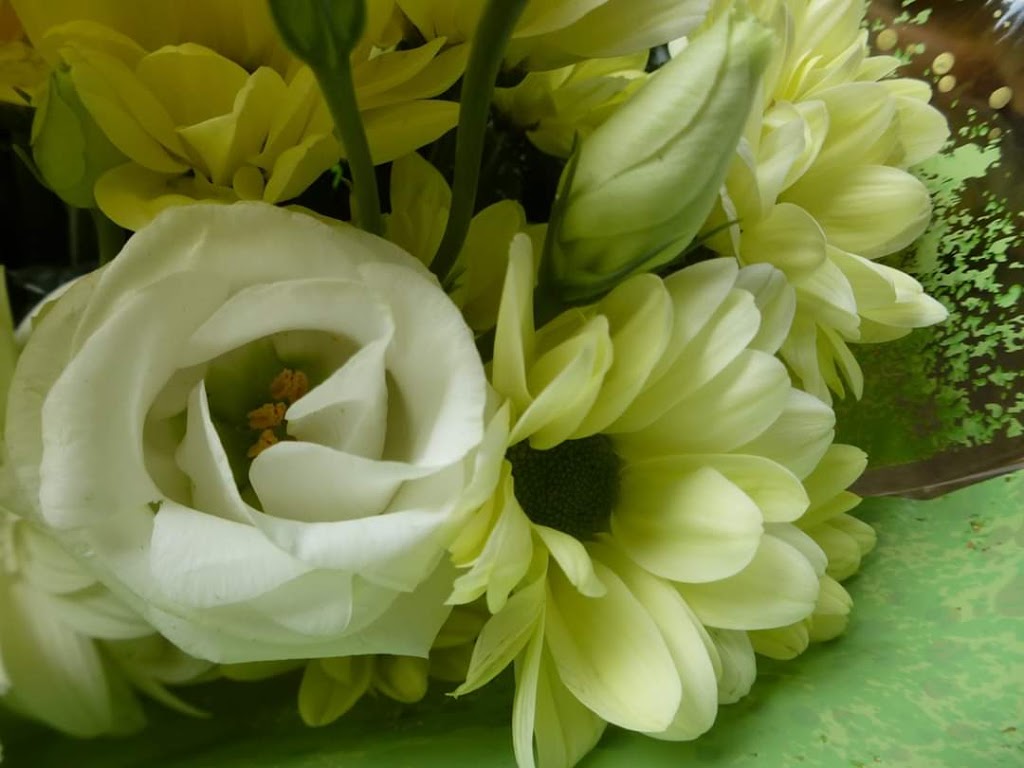 Bernard Tessier Fleuriste | 533 Rue Principale, Lachute, QC J8H 1Y6, Canada | Phone: (450) 562-2825