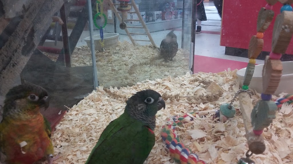 Pet Lovers | 32700 S Fraser Way Suite 22, Abbotsford, BC V2T 4M5, Canada | Phone: (604) 859-9819