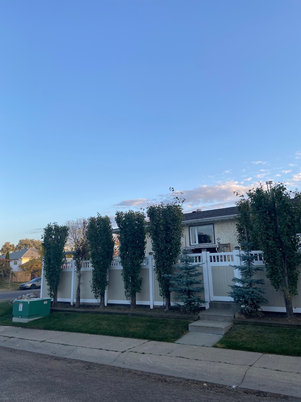 Arborkings | 13883 114 St NW, Edmonton, AB T5X 4A1, Canada | Phone: (780) 909-6227