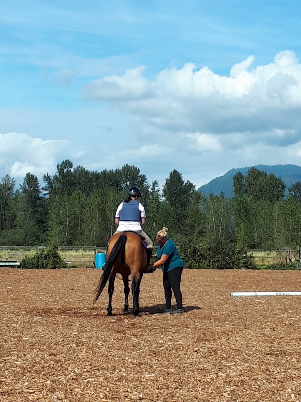 Pemberley Riding School | 21281 128 Ave, Maple Ridge, BC V4R 2N1, Canada | Phone: (604) 836-7522