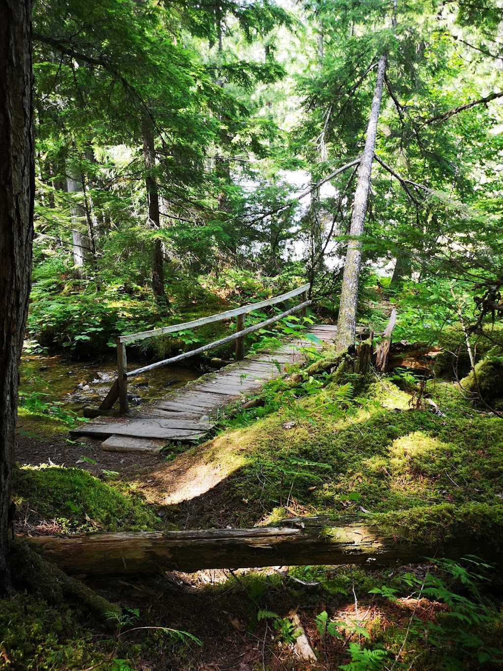 Cinnemousun Narrows Provincial Park | Saint Ives, BC V0E 1M9, Canada | Phone: (250) 320-9305