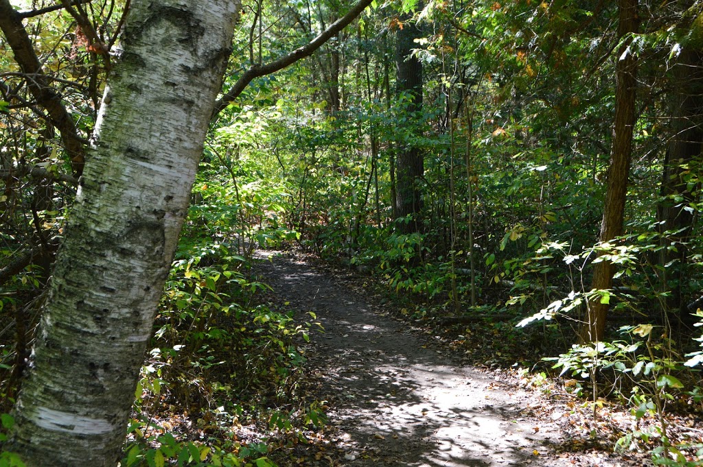 Komoka Provincial Park | 503 Gideon Dr, London, ON N6K 4N8, Canada | Phone: (519) 874-4691