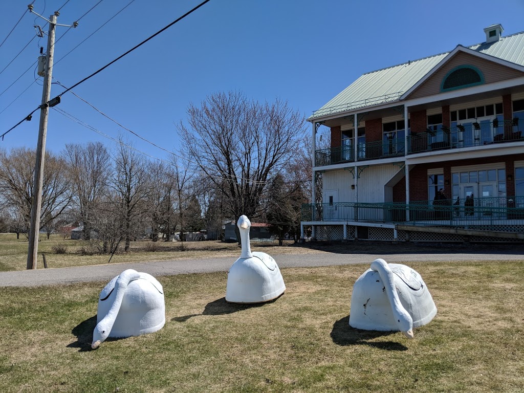 Regroupement DOrganismes De | 420 Route Marie-Victorin, Baie-du-Febvre, QC J0G 1A0, Canada | Phone: (450) 783-6226