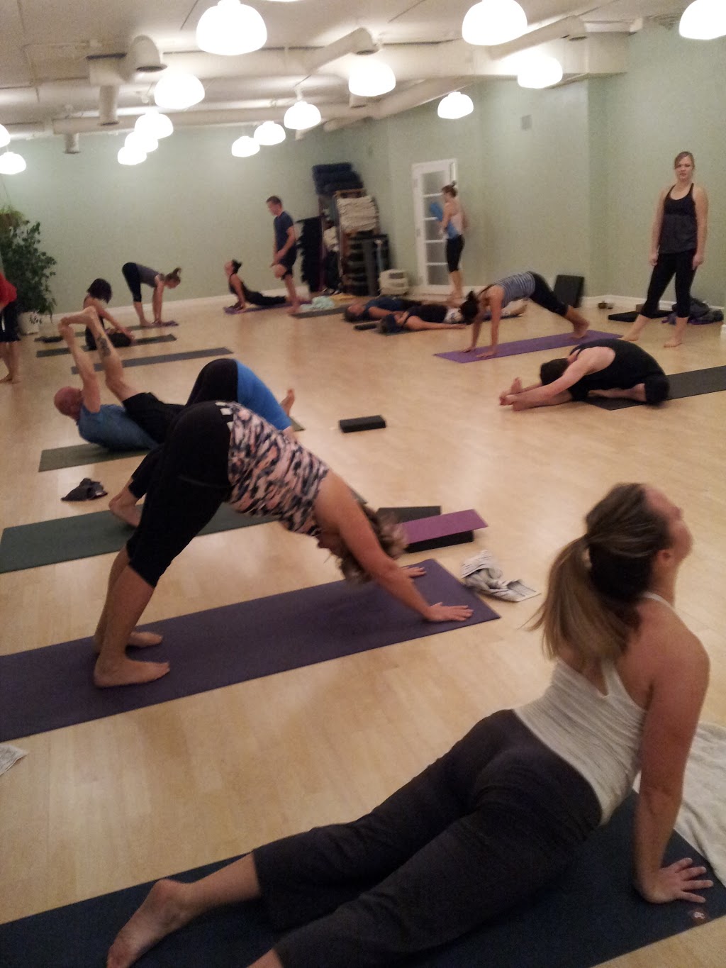 Yogadotcalm | 380 Canyon Meadows Dr SE, Calgary, AB T2J 3C7, Canada | Phone: (403) 225-2267