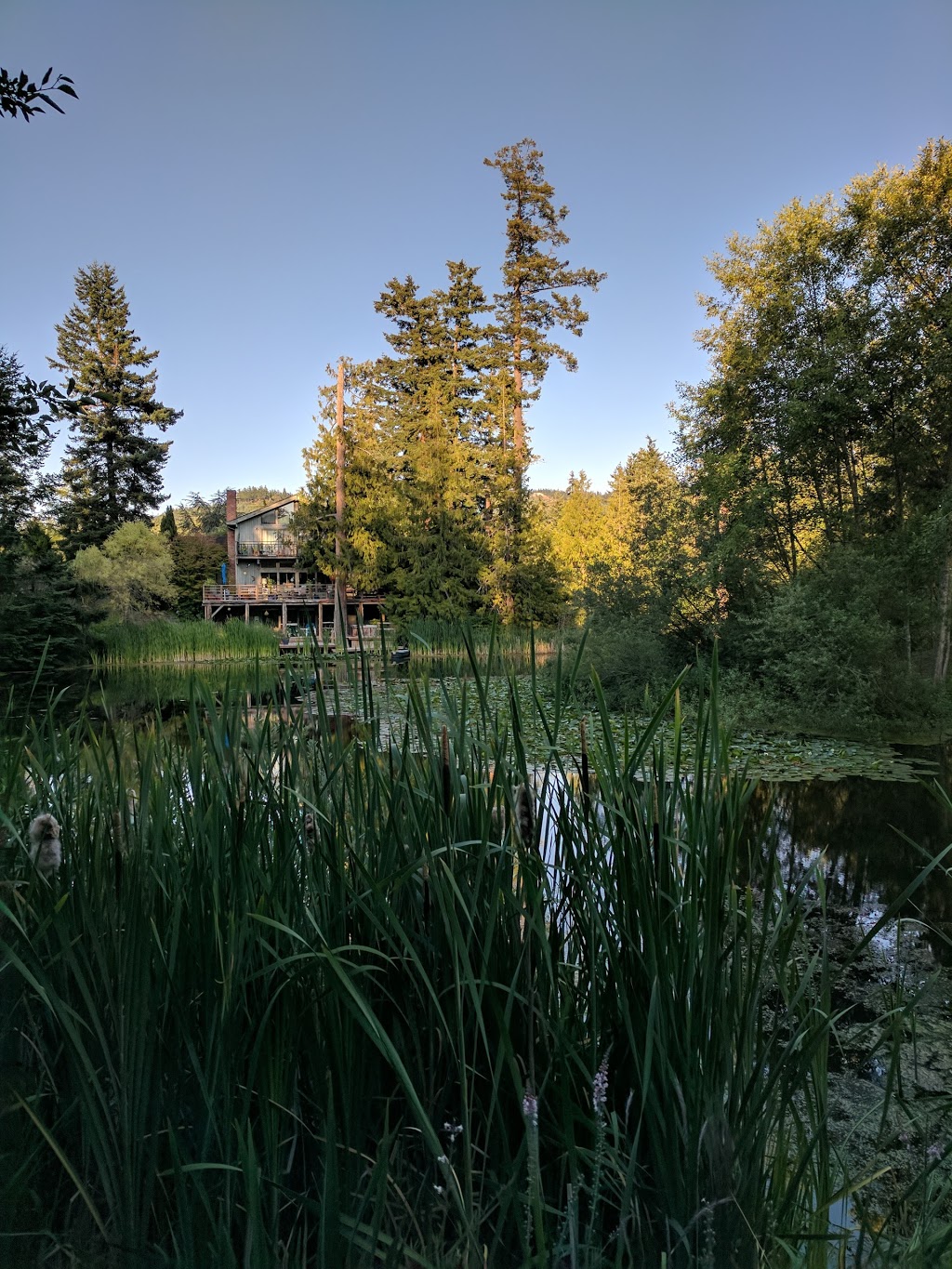 Old Trout Inn | 5272 Orcas Rd, Eastsound, WA 98245, USA | Phone: (360) 376-7474