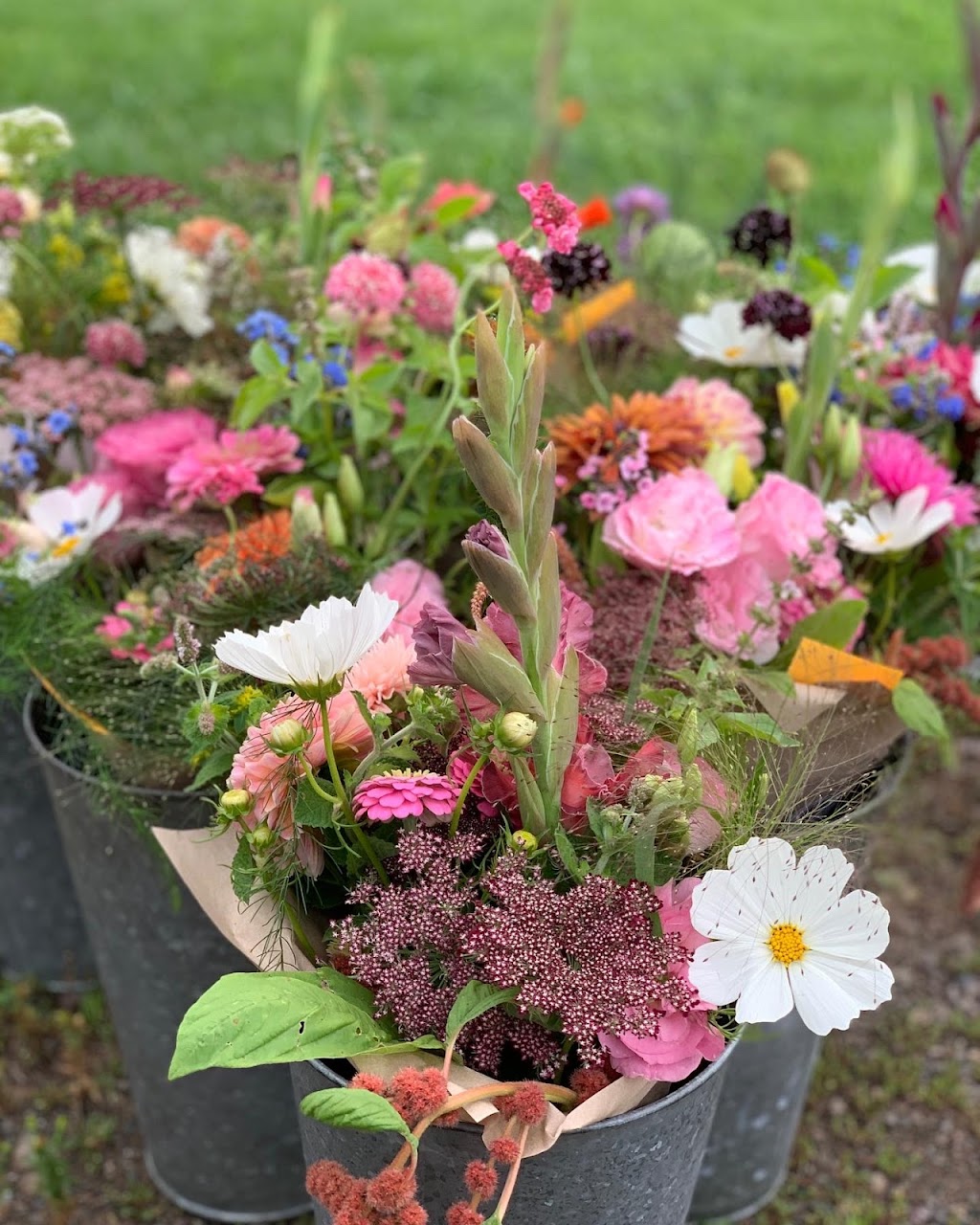 Two Blooms Flower Farm | 31 Gary Rd, Steeves Mountain, NB E1G 0S9, Canada | Phone: (506) 380-1170