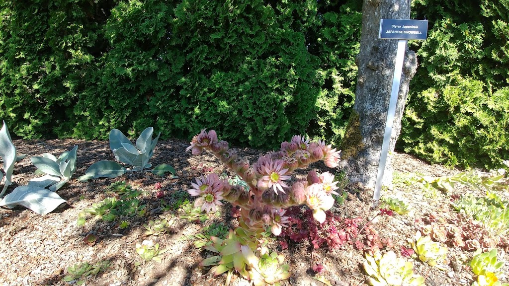 Tennant Lake Fragrance Garden | 5200-5298 Nielsen Rd, Ferndale, WA 98248, USA