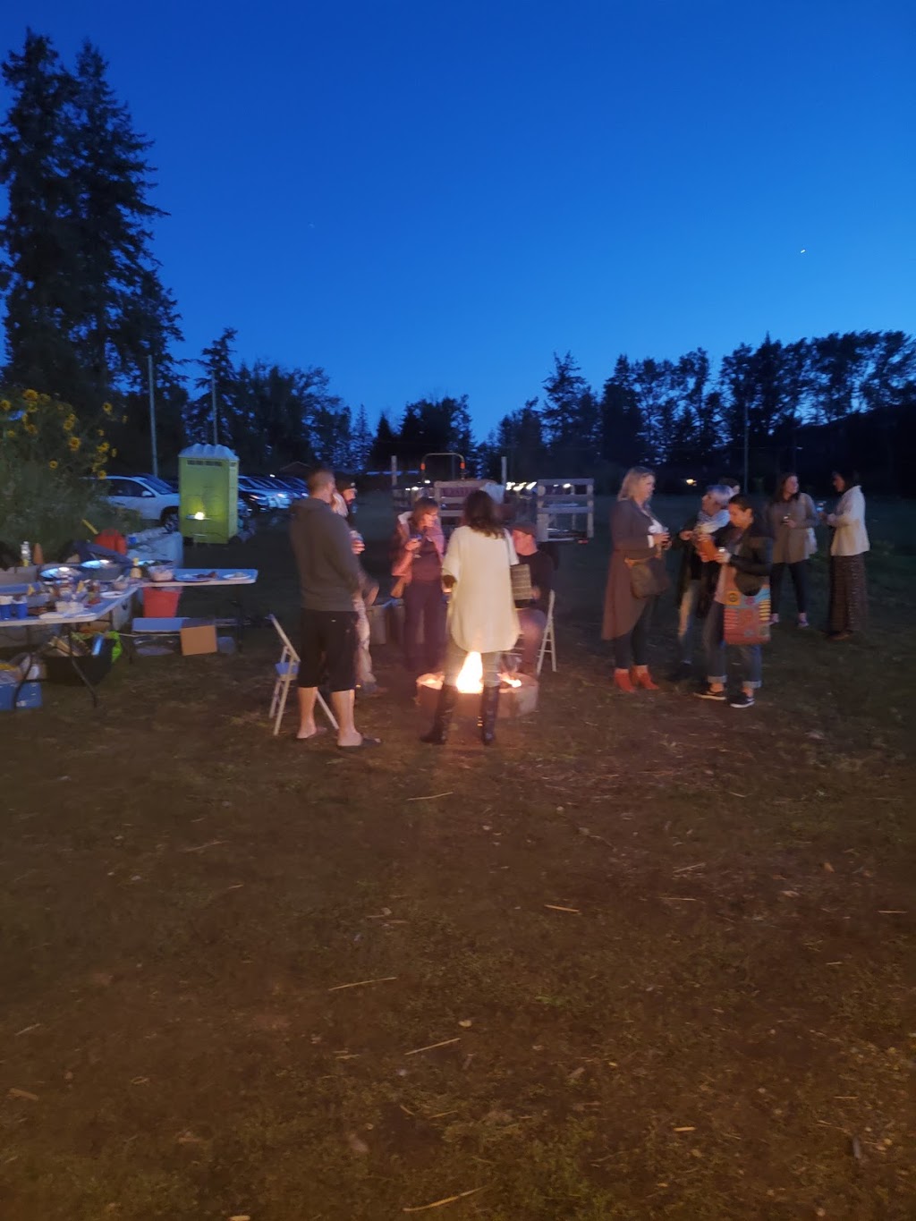 Harpur Family Farm Pumpkin Patch | 6491 Okanagan Ave E, Salmon Arm, BC V1E 1Y2, Canada | Phone: (778) 839-7644