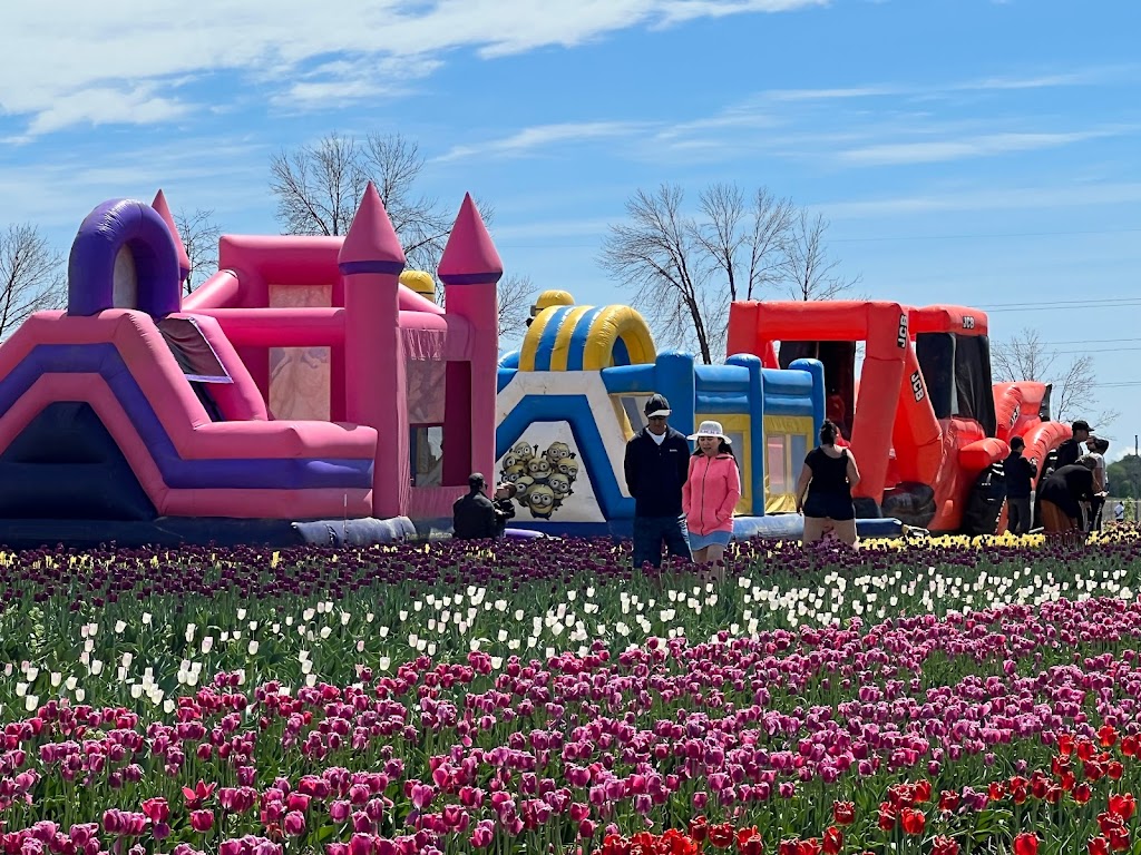 Tulipes.ca | 1055 Rue Principale, 1201 Chem. du Général Vanier, Laval, QC H7X 0C9, Canada | Phone: (450) 639-5145