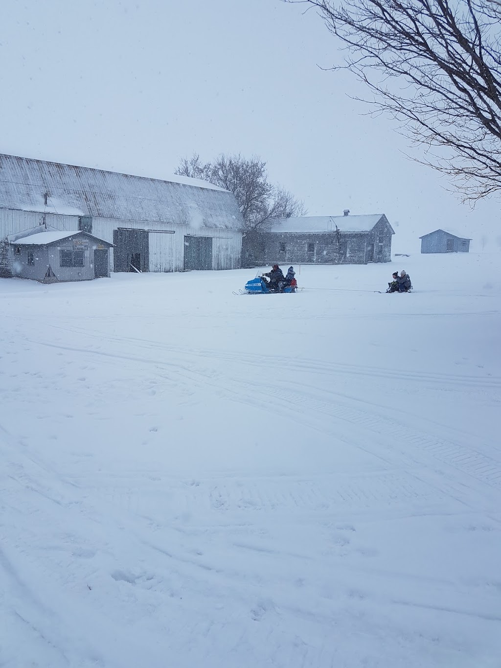 Ferme Dan-Mar | 29 Rang 4 E, Warwick, QC J0A 1M0, Canada | Phone: (819) 358-5434