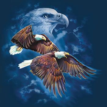 Harlequin Nature Graphics Ltd. | 1340 Fisher Rd #2, Cobble Hill, BC V0R 1L2, Canada | Phone: (800) 350-1891
