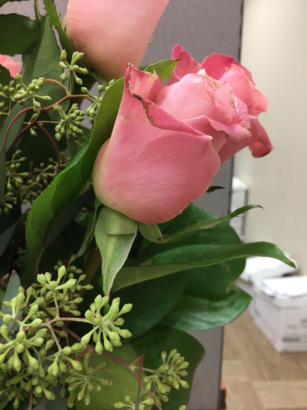 Deer Valley Florist | 1221 Canyon Meadows Dr SE #230, Calgary, AB T2J 6G2, Canada | Phone: (403) 278-0214