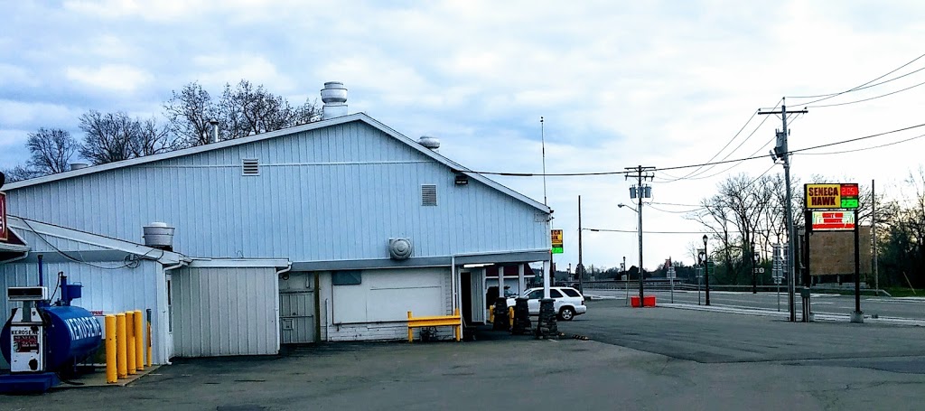 Seneca Hawk | 11979 Southwestern Blvd, Irving, NY 14081, USA | Phone: (716) 934-4219