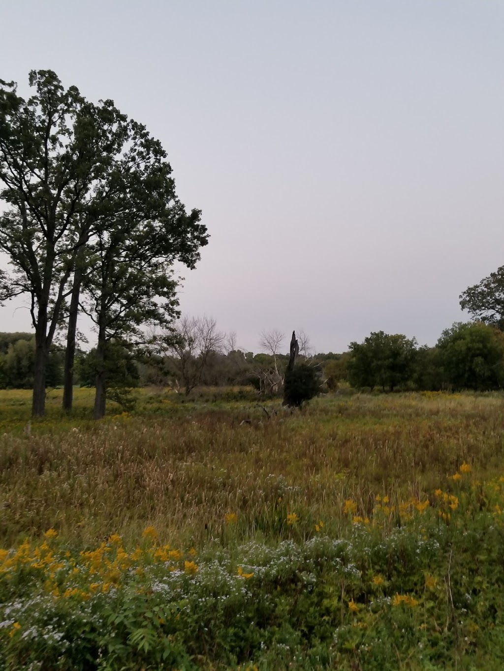 Linear Park | 825 Lowther St S, Cambridge, ON N3H 1Z7, Canada