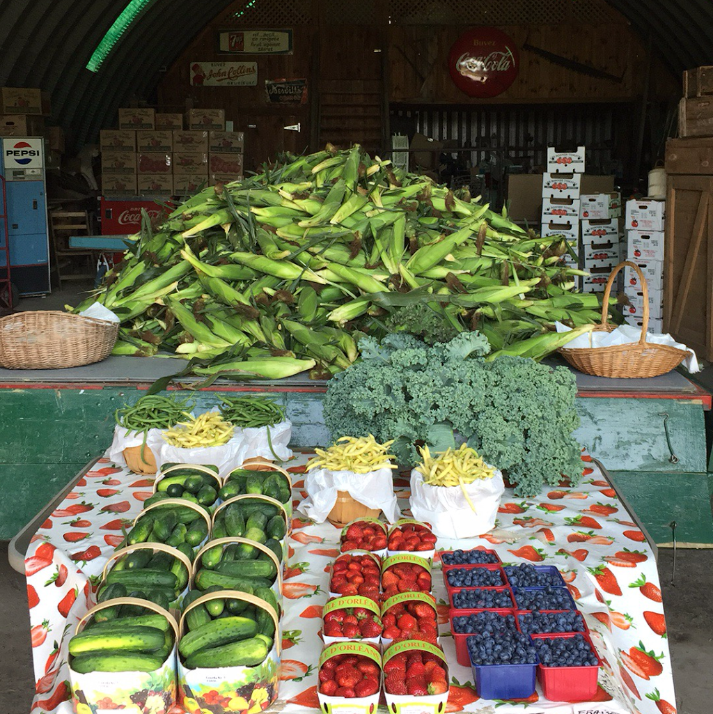 Ferme Mergl / Mergl Farm | 1431 Route de la Cité des Jeunes, Saint-Lazare, QC J7T 2B8, Canada | Phone: (450) 455-4144