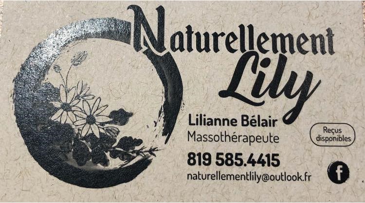 Naturellement Lily | 191 Mnt Plouffe O, Lac-des-Écorces, QC J0W 1H0, Canada | Phone: (819) 585-4415