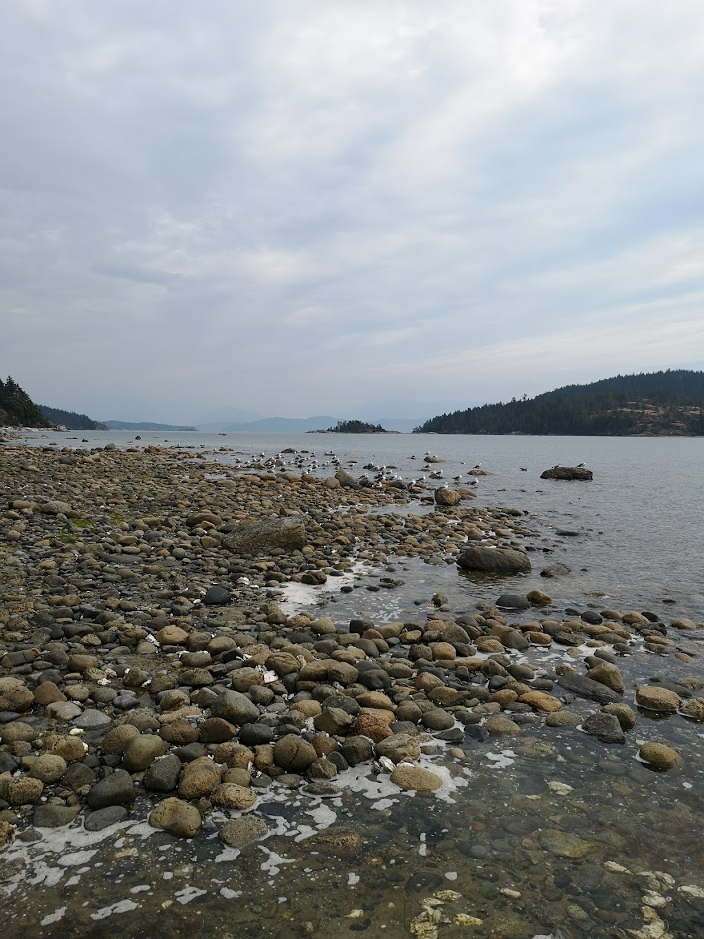 Boathouse - Waterfront Accommodation on Cortes Island | Seascape Rd, Mansons Landing, BC V0P 1K0, Canada | Phone: (250) 935-6795